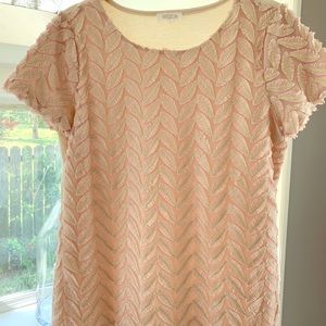 Blush Feather Appliqué Top